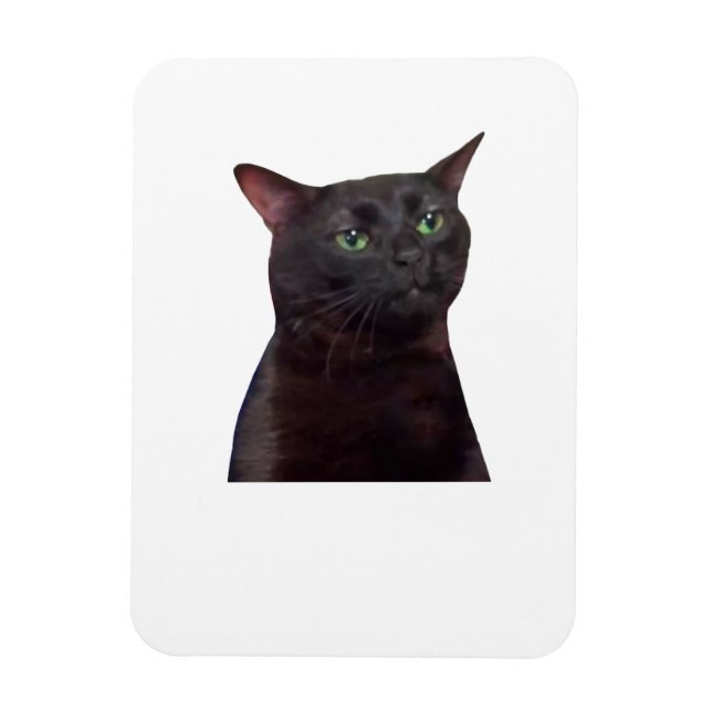 Imán Gato de zumbido hacia fuera, hacia fuera (Vertical)