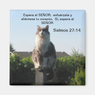 Imán Gato del 27:14 y de Salmos