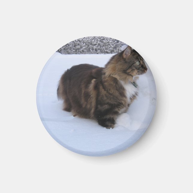 Imán gato del bosque noruego en la nieve (Frente)