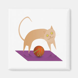 Imán Gato del canela