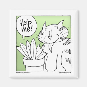 Imán Gato del comedor de la planta