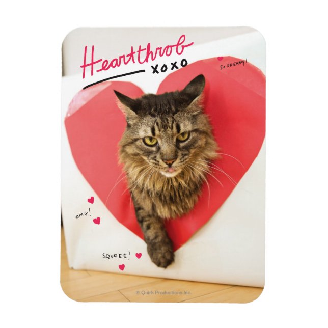 Imán Gato del corazón (Vertical)