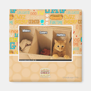 Imán Gato del lavadero