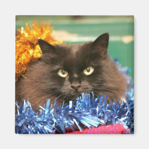 Imán Gato del navidad