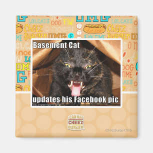 Imán Gato del sótano