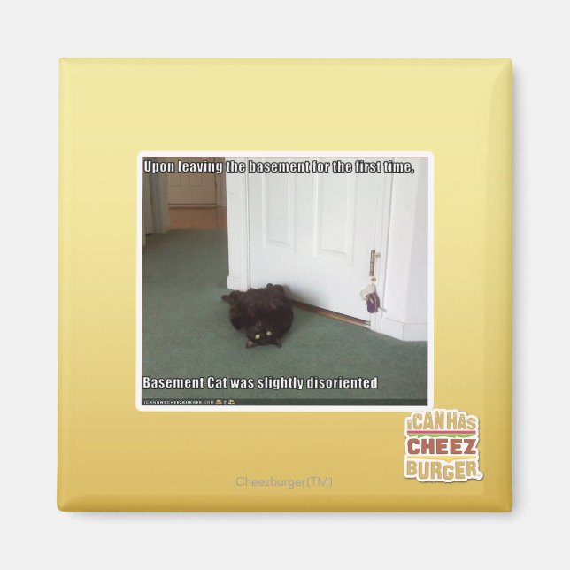 Imán Gato del sótano, ligeramente desorientado (Frente)