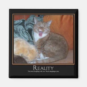 Imán Gato Demotivator