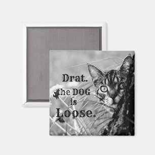 Imán Gato detrás del árbol, Drat, el perro está suelto.