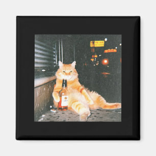 Imán Gato divertido borracho vintage meme en calle noct