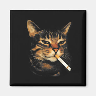 Imán Gato Divertido Fumando Cigarrillo Gatito Meme Estú