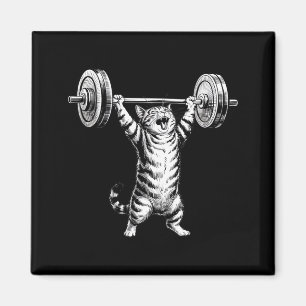 Imán Gato divertido levantamiento de pesas gimnasio vin