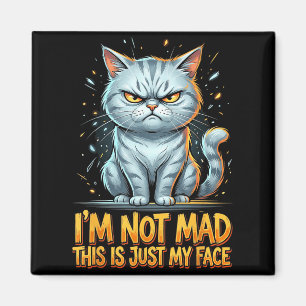 Imán Gato Divertido No Estoy Enojado Este es Solo Mi Ro