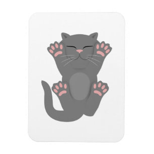 Imán Gato durmiendo