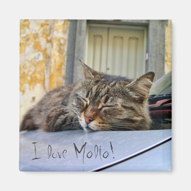 Imán Gato durmiendo en un coche (Frente)