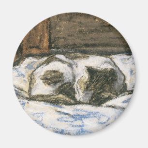 Imán Gato durmiendo en una cama de Claude Monet