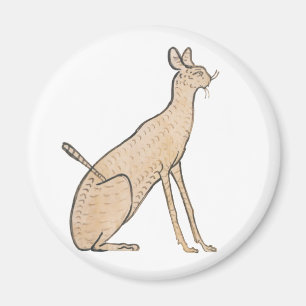 Imán Gato egipcio