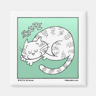 Imán Gato el dormir