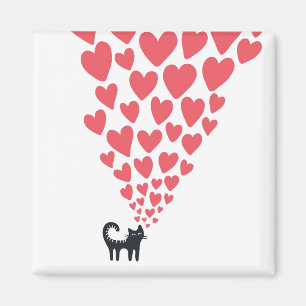 Imán Gato en amor