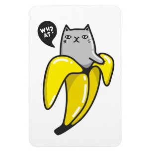 Imán Gato en banana