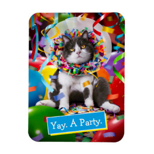 Imán Gato En Cono Fiesta