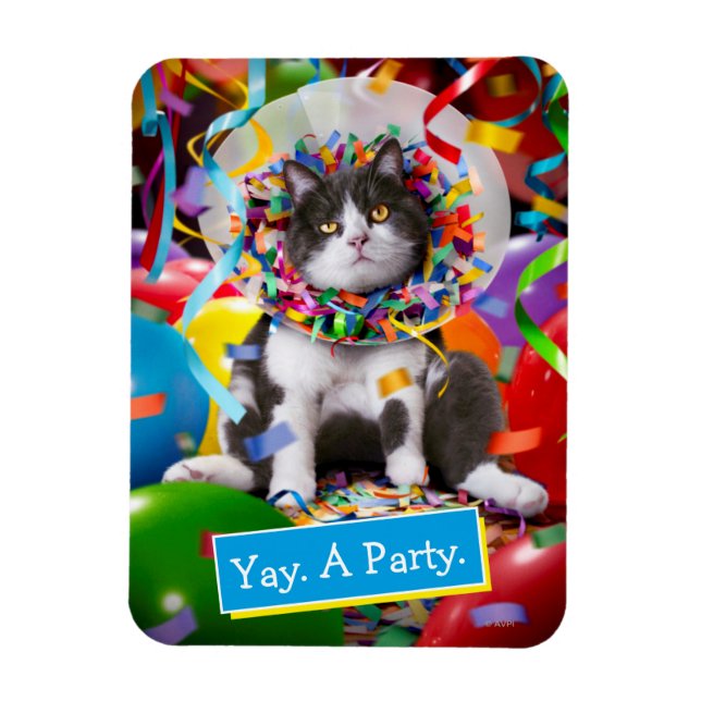 Imán Gato En Cono Fiesta (Vertical)
