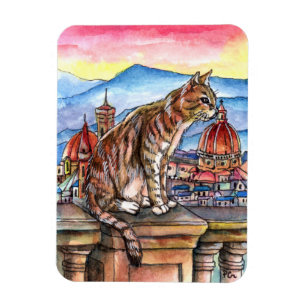 Imán Gato en Florencia