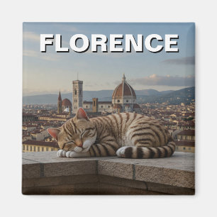 Imán Gato en Florencia Italia Viaje Duomo