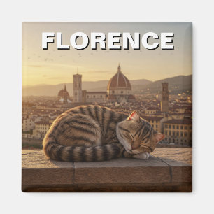 Imán Gato en Florencia Italia Viaje Duomo