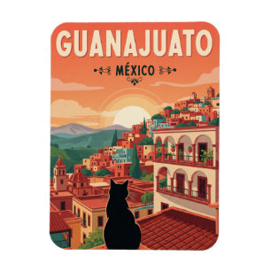 Imán Gato en Guanajuato México