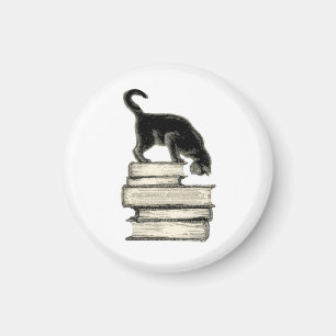 Imán Gato en los libros