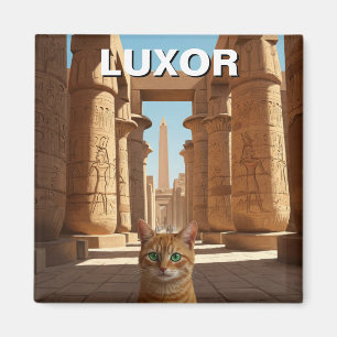 Imán Gato en Luxor Egipto en viaje por el templo Karnak
