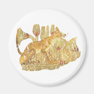 Imán gato en pantano