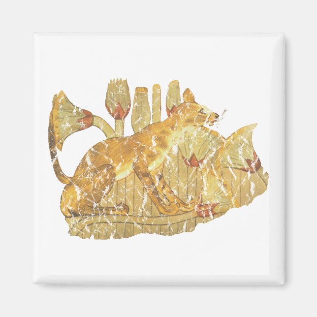 Imán gato en pantano (Frente)