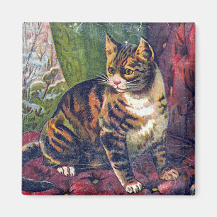 Imán Gato en silla