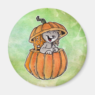 Imán Gato en una calabaza