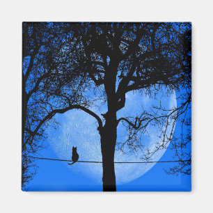 Imán Gato en una luna azul con cable