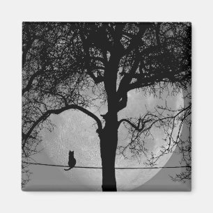 Imán Gato en una luna llena de cable