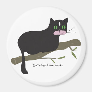 Imán Gato en una rama