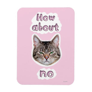 Imán Gato enojado