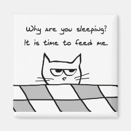 Imán Gato enojado quiere que te vayas de la cama
