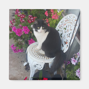 Imán Gato esmoquin lindo con flores bonitas Gatos negro