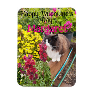 Imán Gato esmoquin lindo divertido San Valentín nombre
