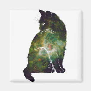 Imán Gato espacial