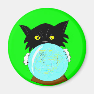 Imán Gato espiritual místico