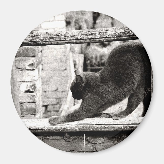 Imán gato estirándose (Frente)