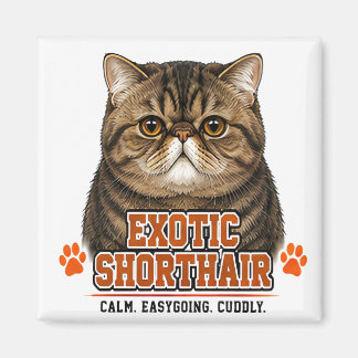 Imán 🐾 Gato Exótico de Pelo Corto 🐾
