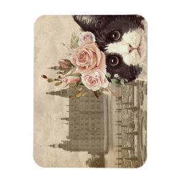 Imán Gato Fancy y el Castillo