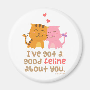 Imán Gato Felino Amor Confesión Chiste Humor