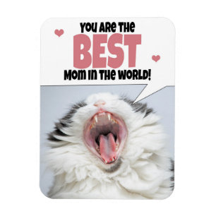 Imán Gato feliz del día de la madre gritando humor