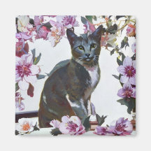 Gato floral